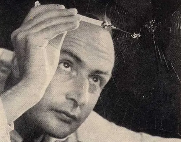 Spiders on Different Drugs Spin Different Types of Web Patterns - Core77