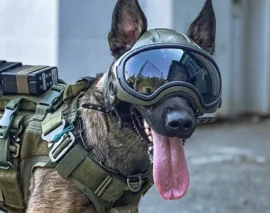 Modular Canine Helmets for Active-Duty Dogs - Core77