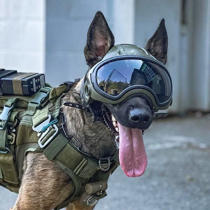 Modular Canine Helmets for Active-Duty Dogs - Core77