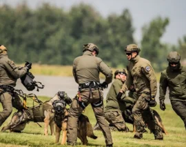 Modular Canine Helmets for Active-Duty Dogs - Core77