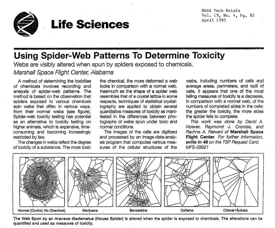 Spiders on Different Drugs Spin Different Types of Web Patterns - Core77