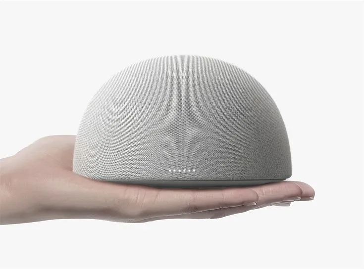 the google home speaker is in someone