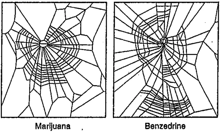 Spiders on Different Drugs Spin Different Types of Web Patterns - Core77