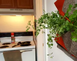 Vàs: Modular Vertical Planter - Core77

模块化立式播种机-Core 77