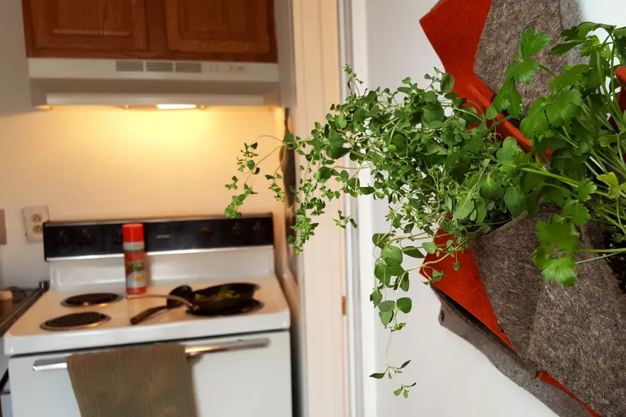 Vàs: Modular Vertical Planter - Core77

模块化立式播种机-Core 77