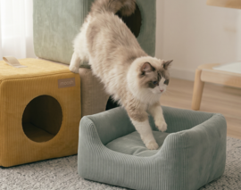 工业设计，产品设计，宠物窝，猫窝推荐，宠物用品，猫窝，猫咪舒适生活，