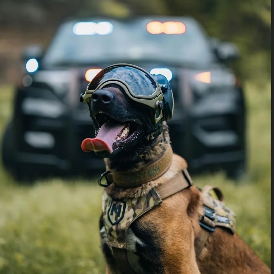 Modular Canine Helmets for Active-Duty Dogs - Core77