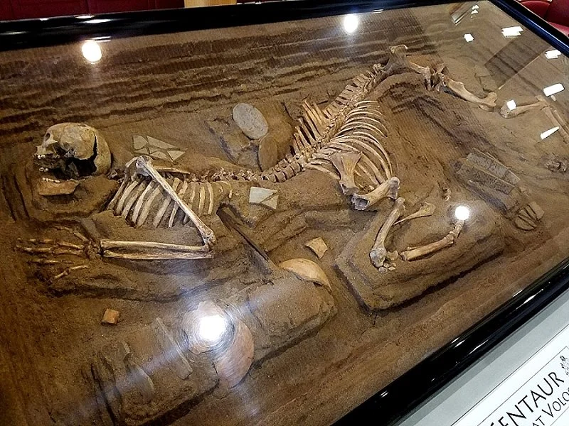 An Excavated Centaur Skeleton from 1980 - Core77